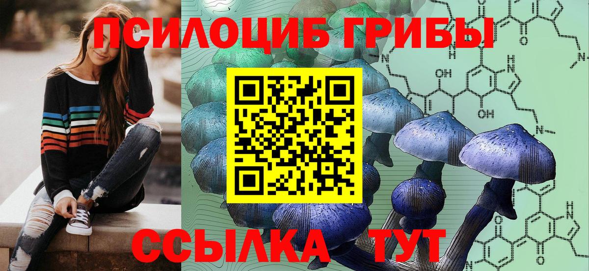 Псилоцибиновые грибы GOLDEN TEACHER Среднеуральск